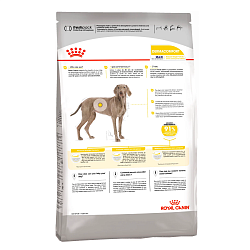 Сухой корм Royal Canin Maxi Dermacomfort для взрослых крупных пород 10 кг